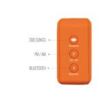 Saregama Carvaan Mini 2.0 Bhakti (Orange)