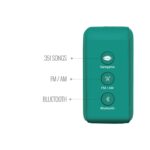 Saregama Carvaan Mini 2.0 (Mint Green)