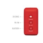 Saregama Carvaan Mini 2.0 (Sunset Red)