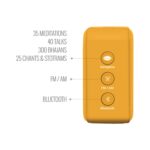 Saregama Carvaan Mini The Art of Living (Saffron Orange)